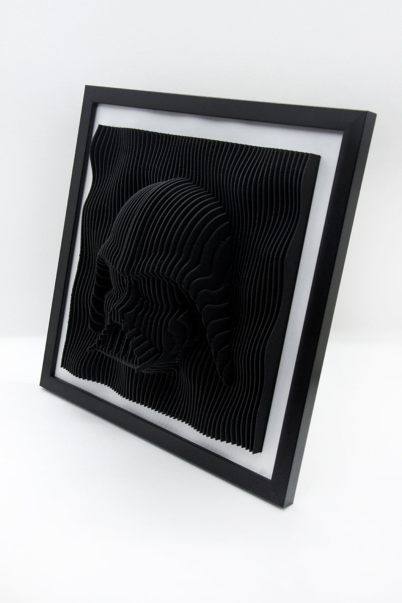 CUADRO 3D DARTH VADER