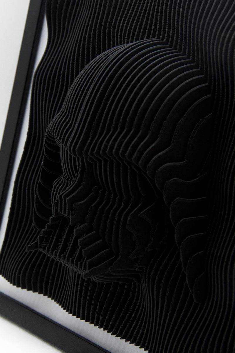 CUADRO 3D DARTH VADER