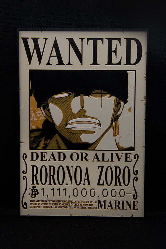 CUADRO ZORO