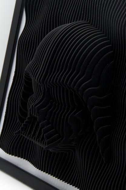 CUADRO 3D DARTH VADER