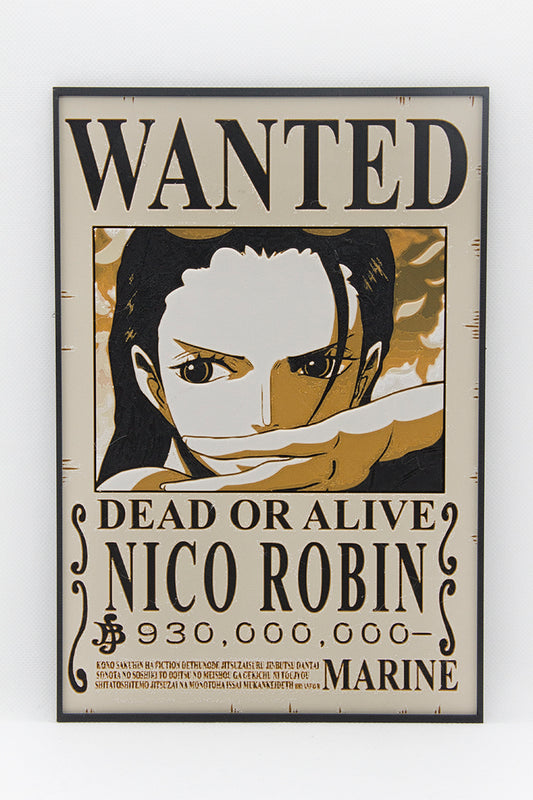 CUADRO NICO ROBIN