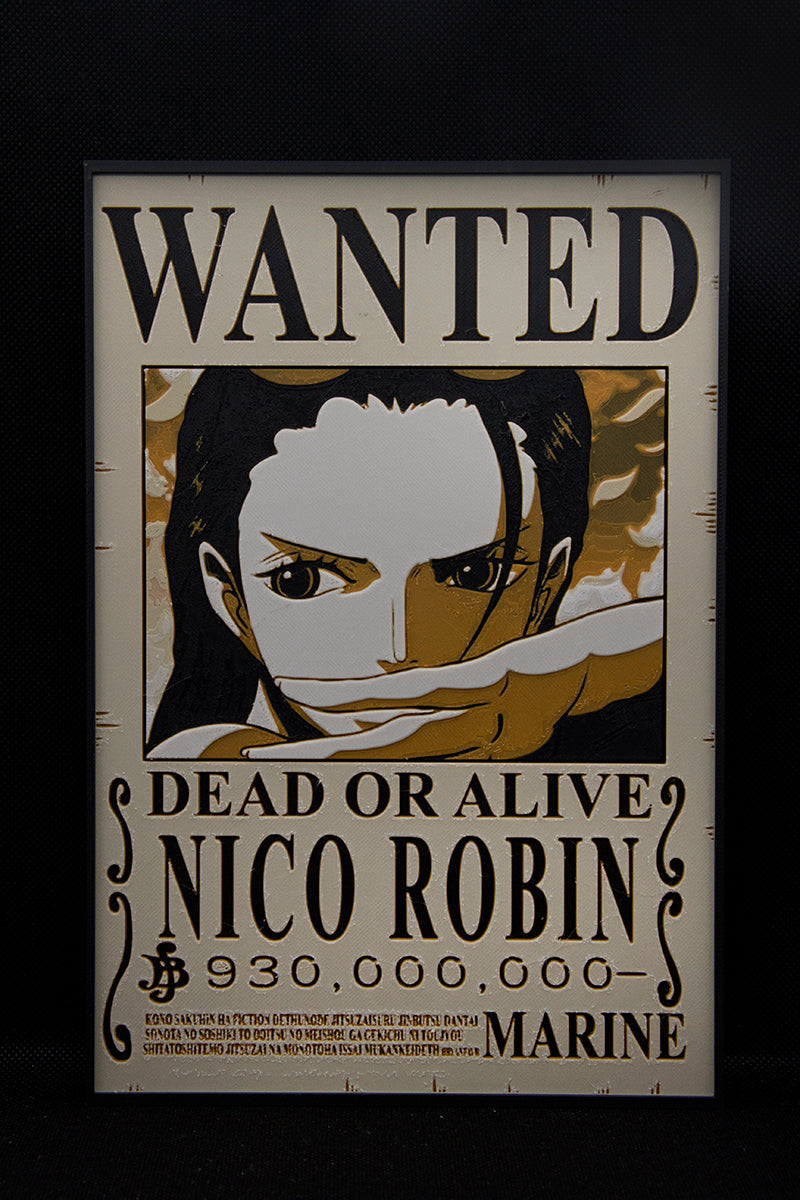 CUADRO NICO ROBIN