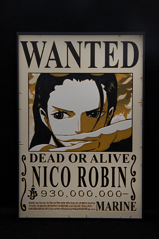 CUADRO NICO ROBIN